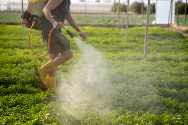 Best Pest Prevention Services  in Presidential Lakes Estates, NJ