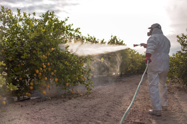 Best Pest Inspection Near Me  in Presidential Lakes Estates, NJ