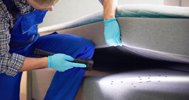 Best Cockroach Control Services  in Presidential Lakes Estates, NJ