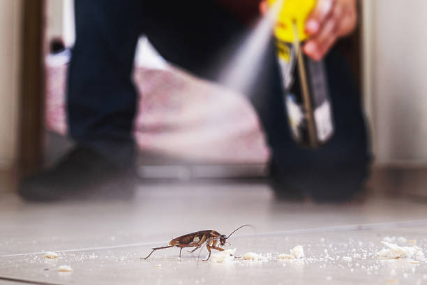 Flea Control Services in Presidential Lakes Estates, NJ