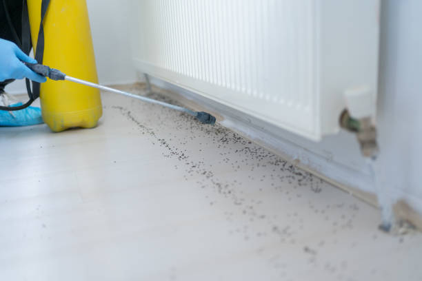 Best Emergency Pest Control  in Presidential Lakes Estates, NJ