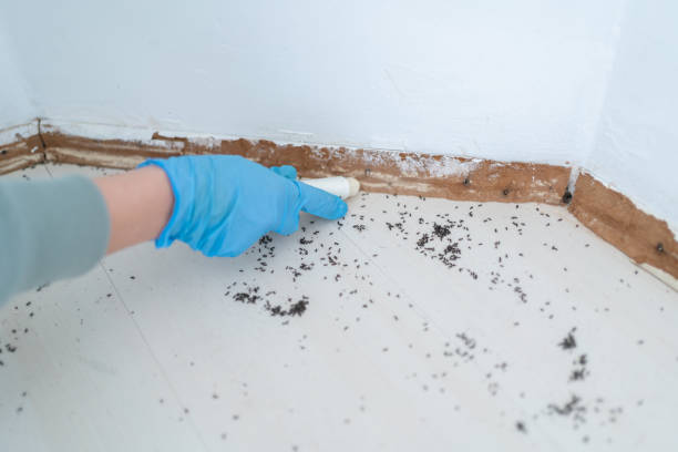 Best Ant Control Services  in Presidential Lakes Estates, NJ