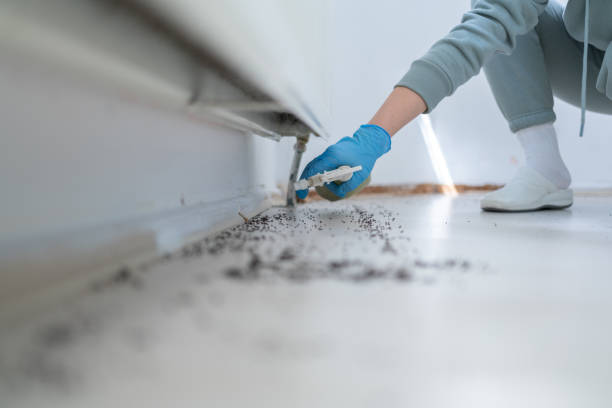 Spider Control Near Me in Presidential Lakes Estates, NJ
