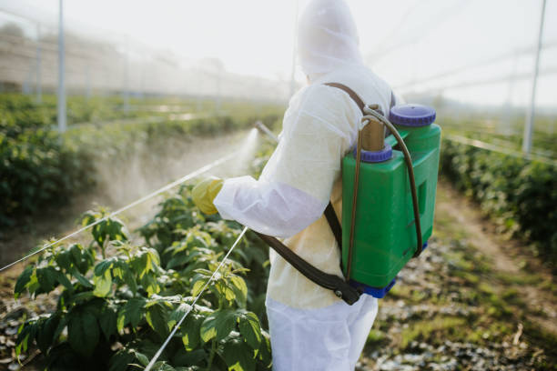 Best Local Pest Control Services  in Presidential Lakes Estates, NJ